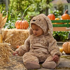 Pottery Barn Puppy Costume